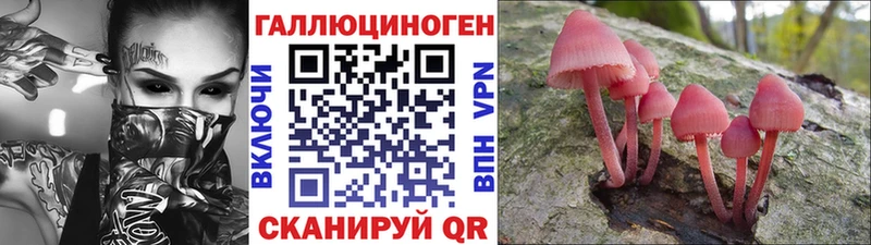 Псилоцибиновые грибы Cubensis  Дыгулыбгей 
