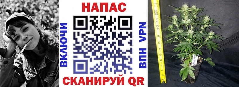 МАРИХУАНА марихуана Дыгулыбгей